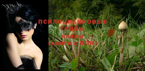 прущие крисы Каменка