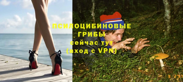 ГАЛЛЮЦИНОГЕННЫЕ ГРИБЫ Касимов