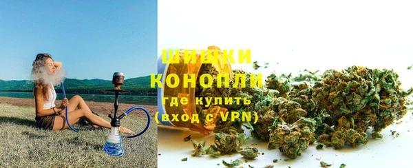 прущие крисы Каменка