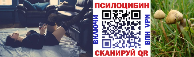 Купить закладки  Черногорск  Галлюциногенные грибы мухоморы 